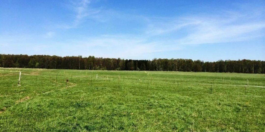 🚨⚖️ Земельные аферы в Киржаче: Задержан специалист по недвижимости, возбуждено новое дело о мошенничестве