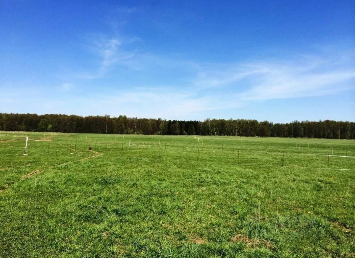 Земельные аферы в Киржаче