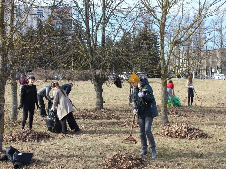    Люди убирали прошлогоднюю листву, случайный мусор, красили скамейки, мыли памятники. Фото: пресс-служба Администрации Великого Новгорода в соцсети ВКонтакте