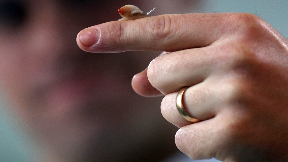 Фото: Jonathan Brady/Getty Images