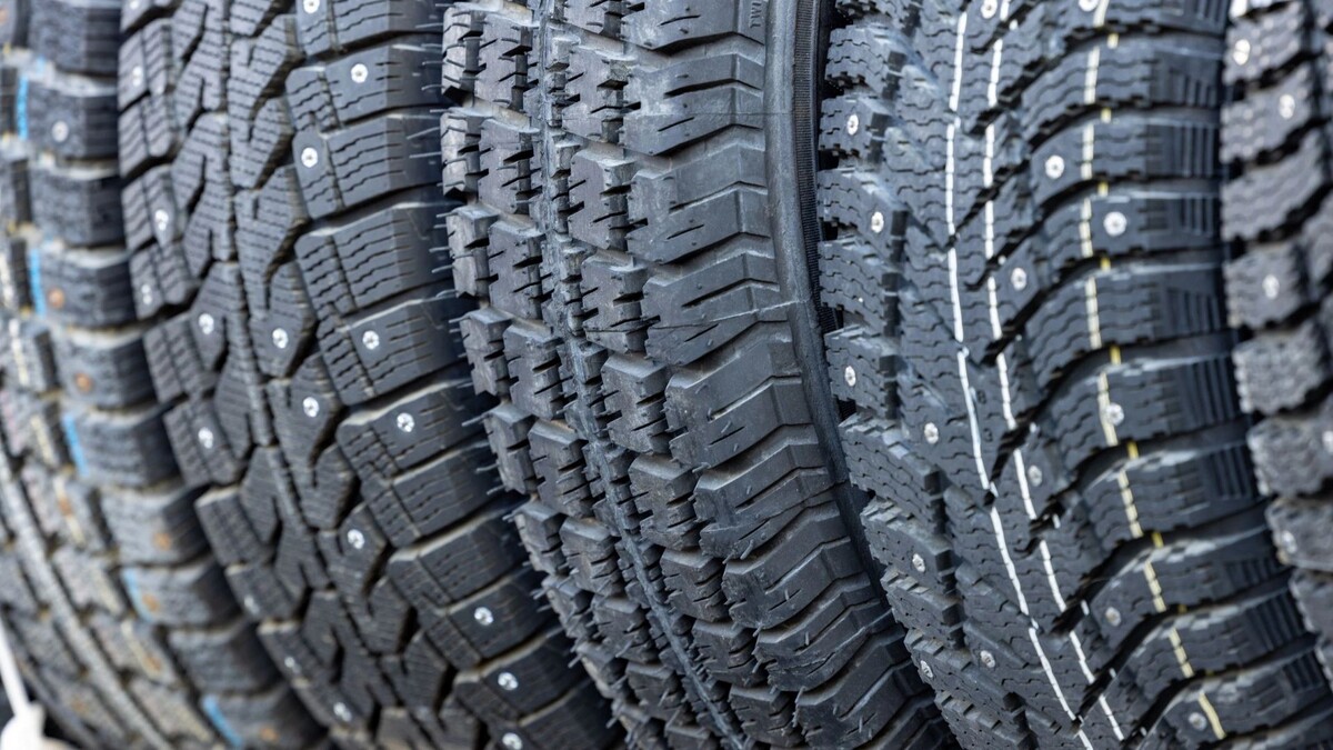    Фото: Федор Воронов/«Ямал-Медиа»