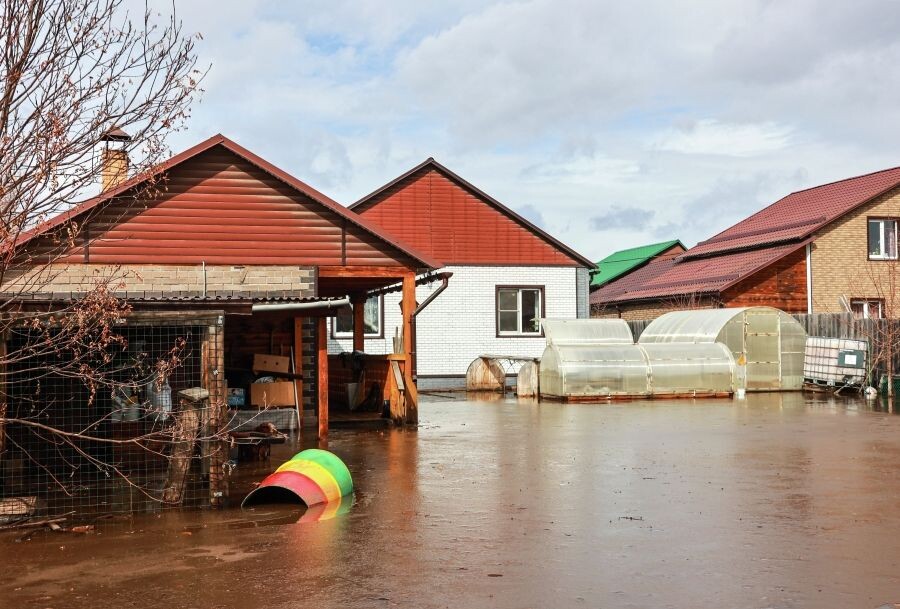     / Источник: © Кирилл Шипицин/РИА Новости