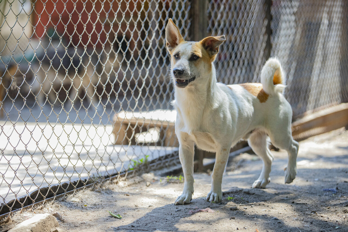   Фото: Луганский Информационный Центр