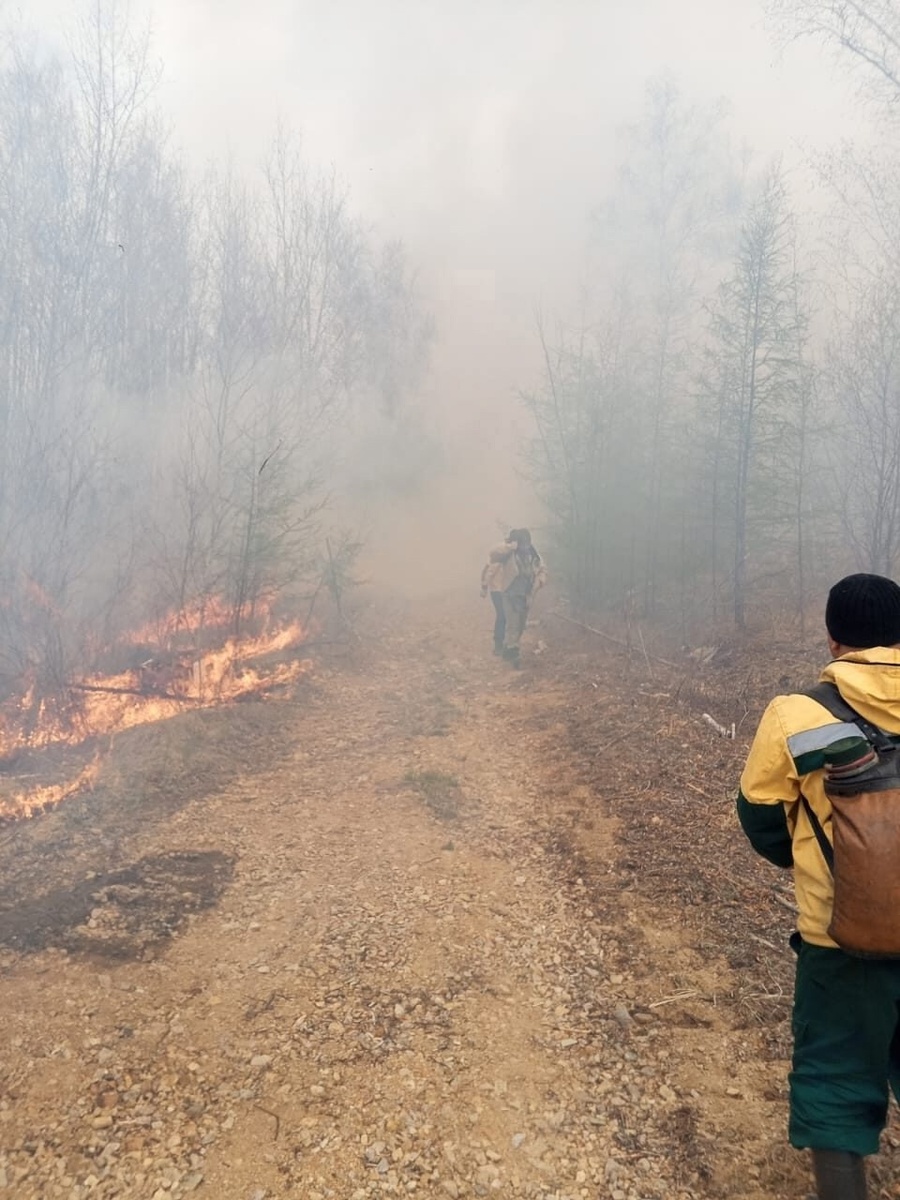    Карельские десантники-пожарные в Забайкалье. Фото: Минприроды Карелии