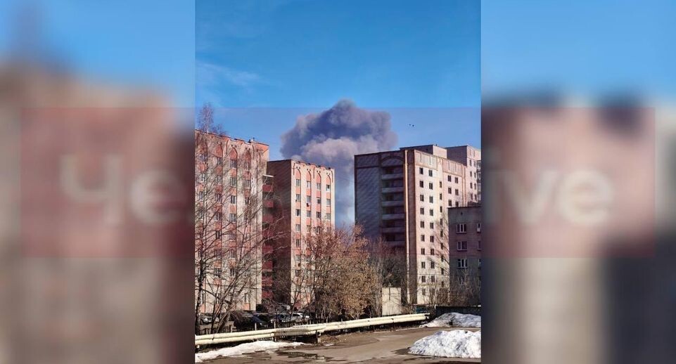    предоставлено собеседницей