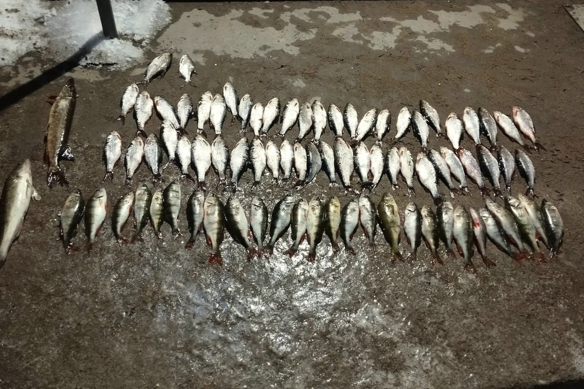    Фото: Тверской линейный отдел МВД России на транспорте