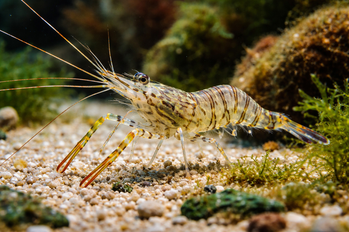    © Донецкое агентство новостей