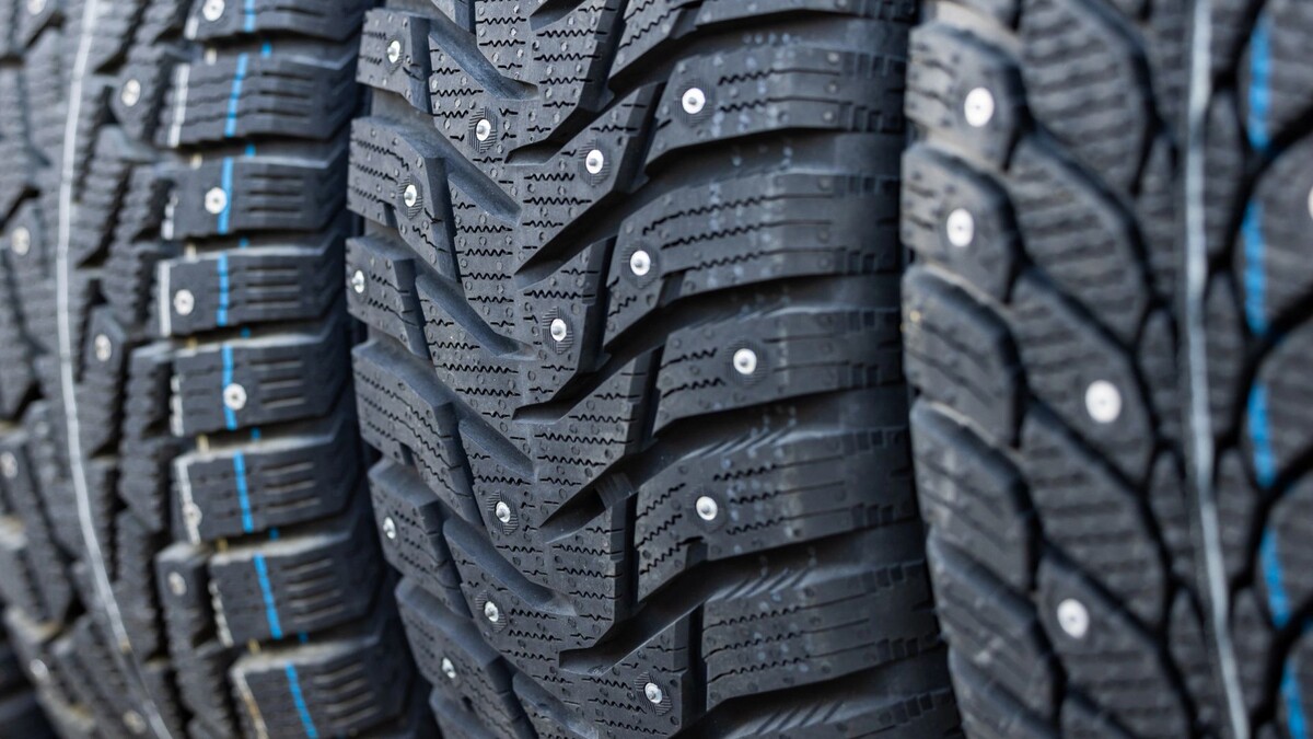    Фото: Федор Воронов / «Ямал-Медиа»