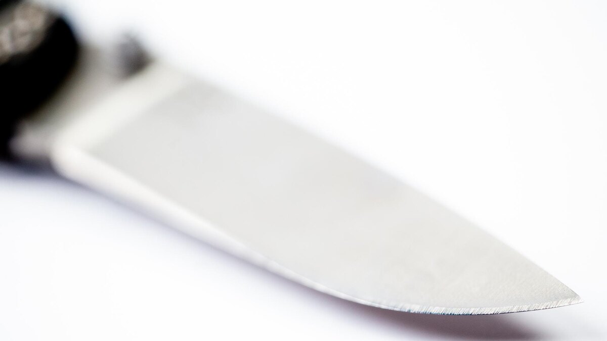    Фото: ИЗВЕСТИЯ/Телеканал «78»