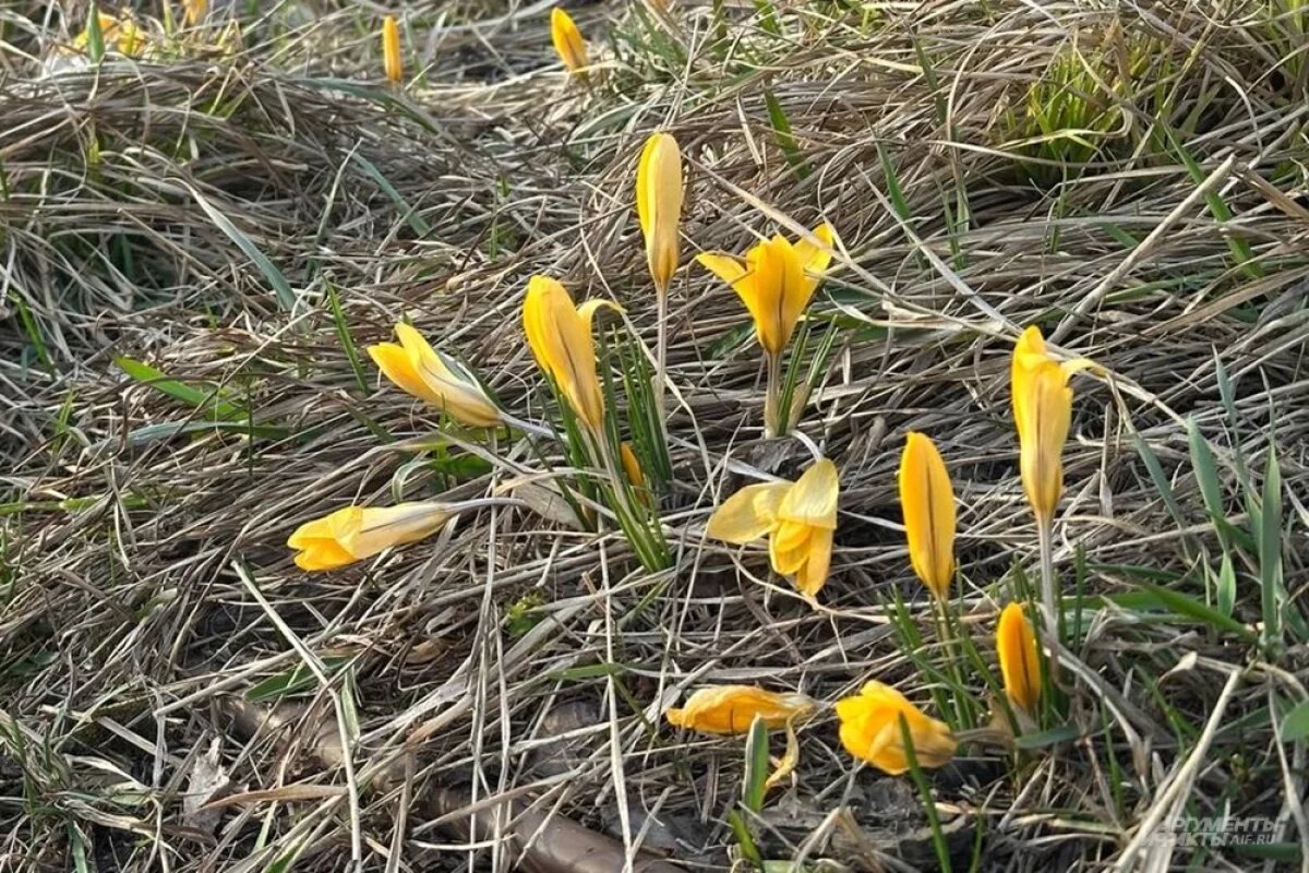    Погода в Башкирии поставила пятый подряд температурный рекорд