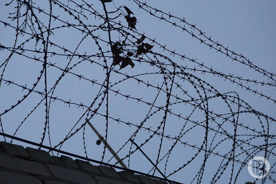    фото: "Городские вести"