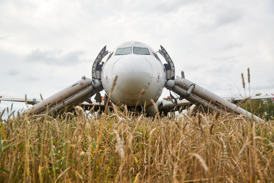    Стрингер/NEWS.ru