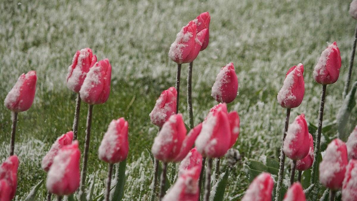    Фото: Анатолий Цымбалюк / Вечерняя Москва