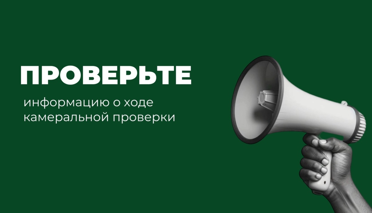 После сдачи декларации у каждого ИП автоматически начинается камеральная проверка сроком до 3 месяцев. Её статус можно посмотреть в личном кабинете ФНС. Переплата на ЕНС чаще всего не требует возврата.