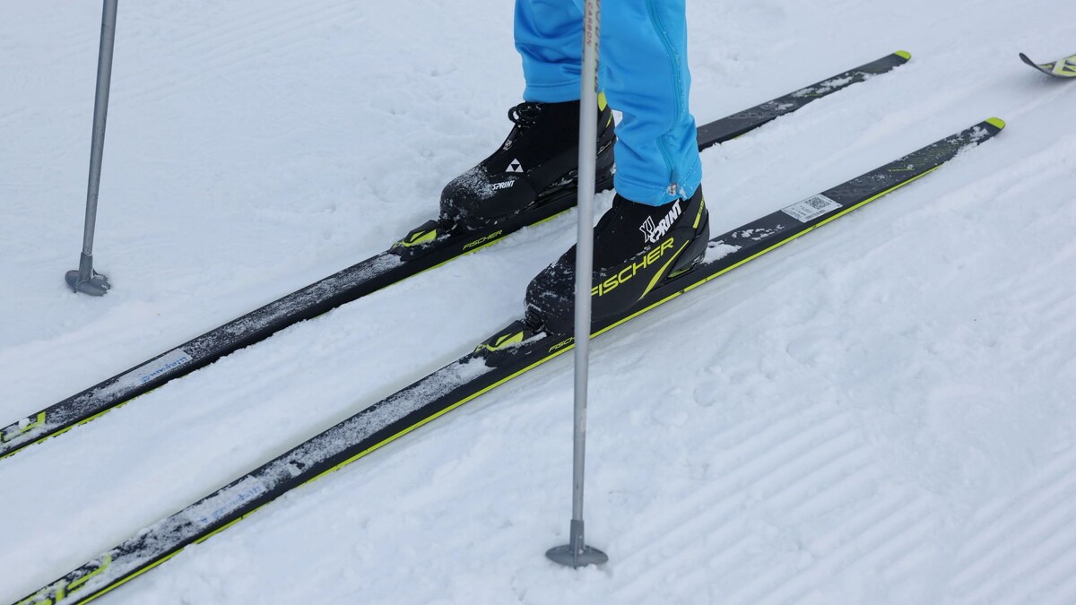    Фото: Андрей Ткачев / «Ямал-Медиа»
