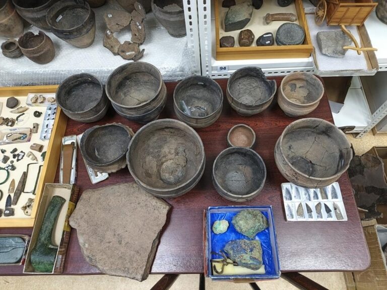    Оренбургский губернаторский историко-краеведческий музей покажет горожанам Аркаим Полина Кузаева