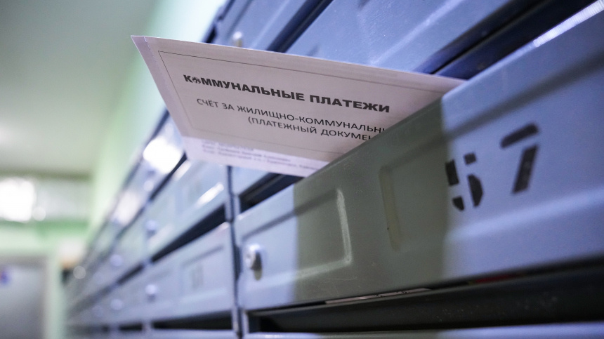    Фото: ИЗВЕСТИЯ/Дмитрий Коротаев; 5-tv.ru