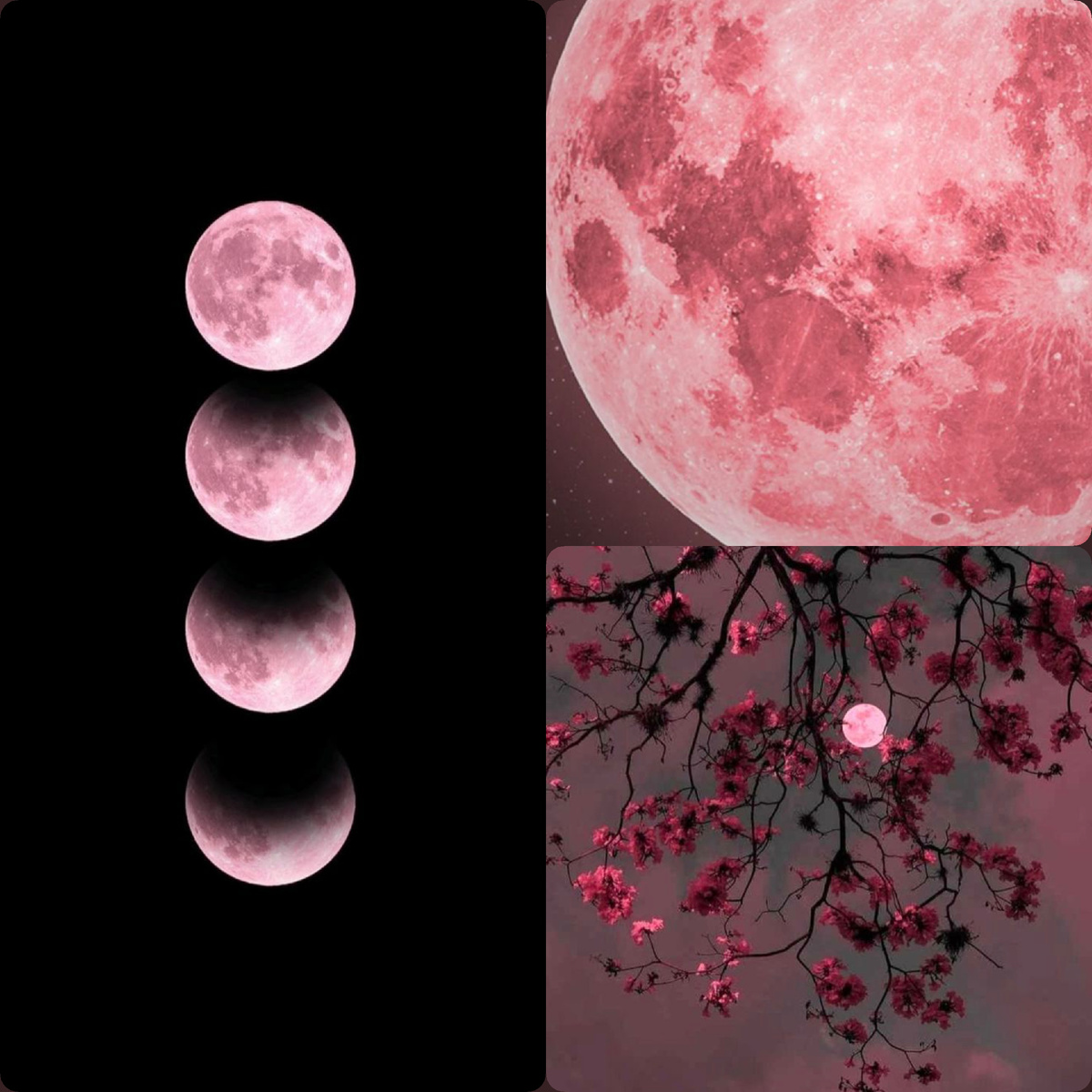 Иллюстрация для вдохновения.  Источник: Pinterest 