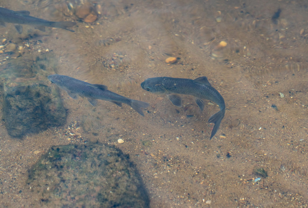    Правительство Тверской области