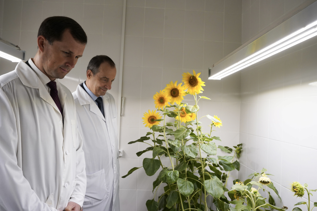    Фото: Пресс-служба администрации Краснодарского края