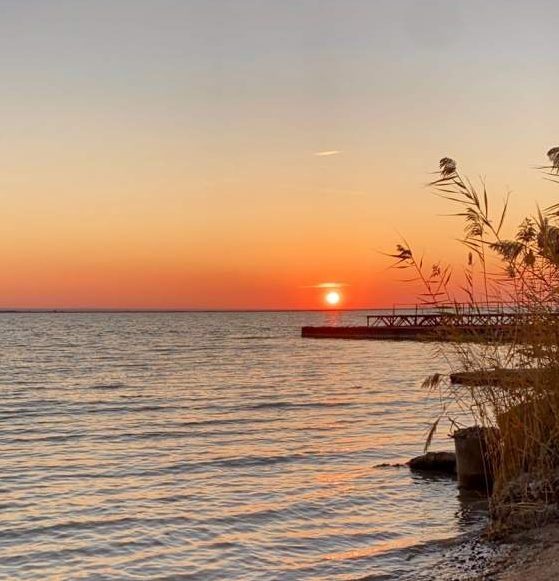    фото Людмила Сахарчук "Веселовские вести" Веселовские вести