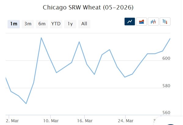 Мартовский фьючерс, Париж, евро/тонна