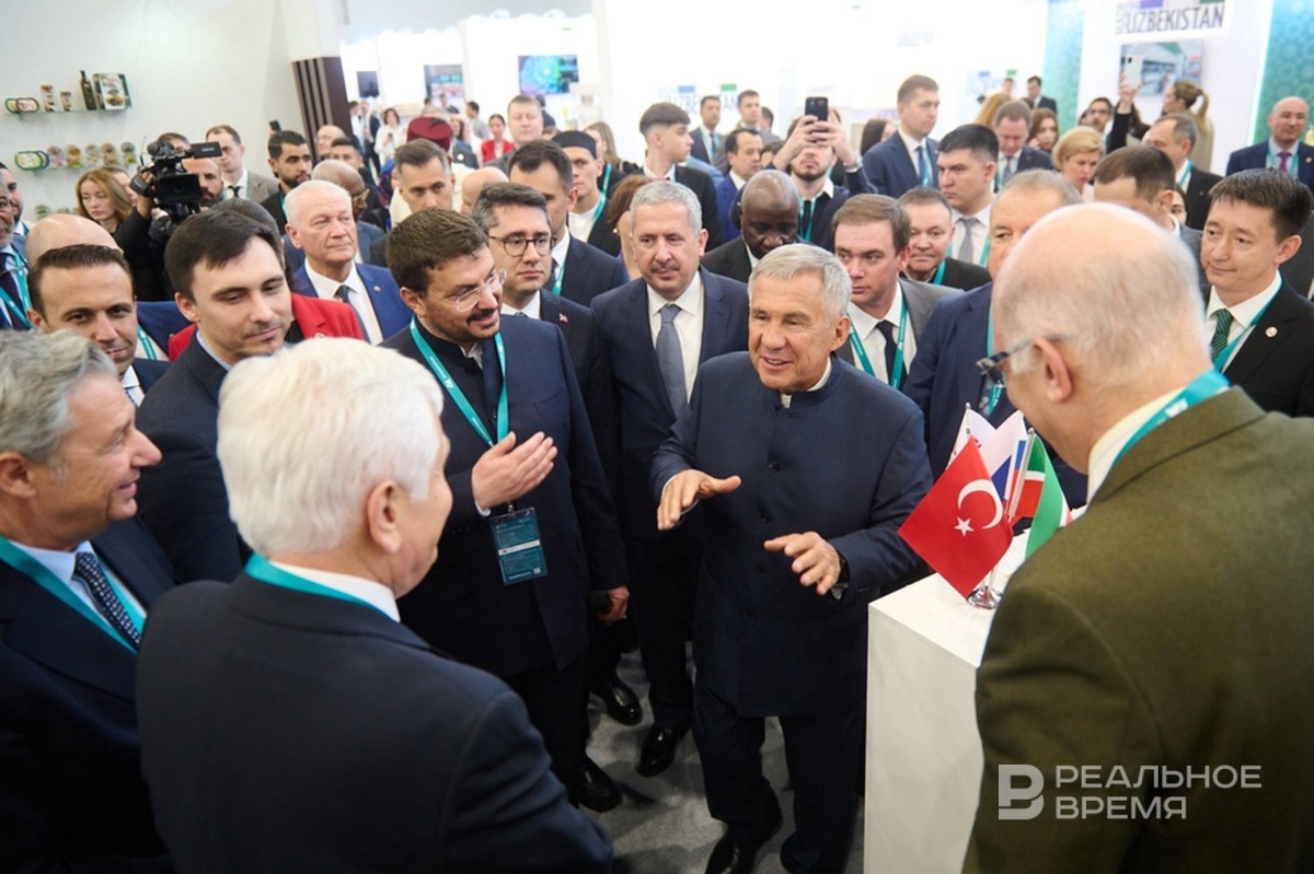   Динар Фатыхов / realnoevremya.ru