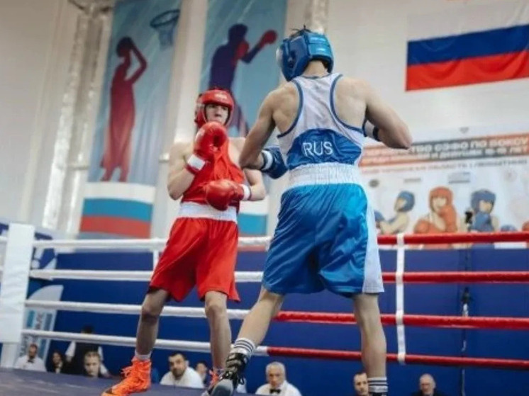     Новгородские спортсмены завоевали 17 наград. Фото: пресс-служба Минспорта по Новгородской области