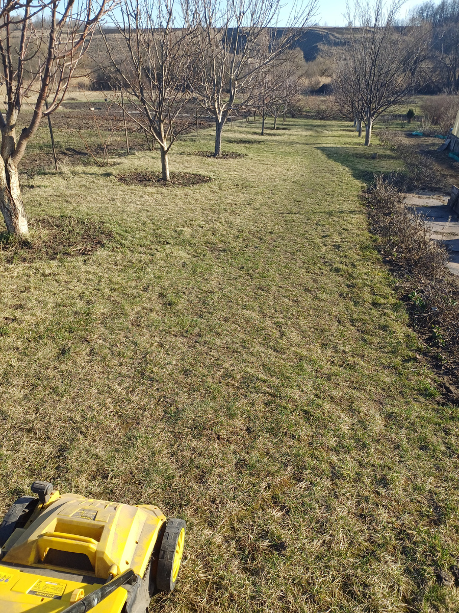 иду на аэрацию. Вот это всё мне нужно очистить. Почти 5 соток! Фото автора.