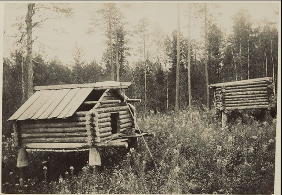 humus.livejournal.com