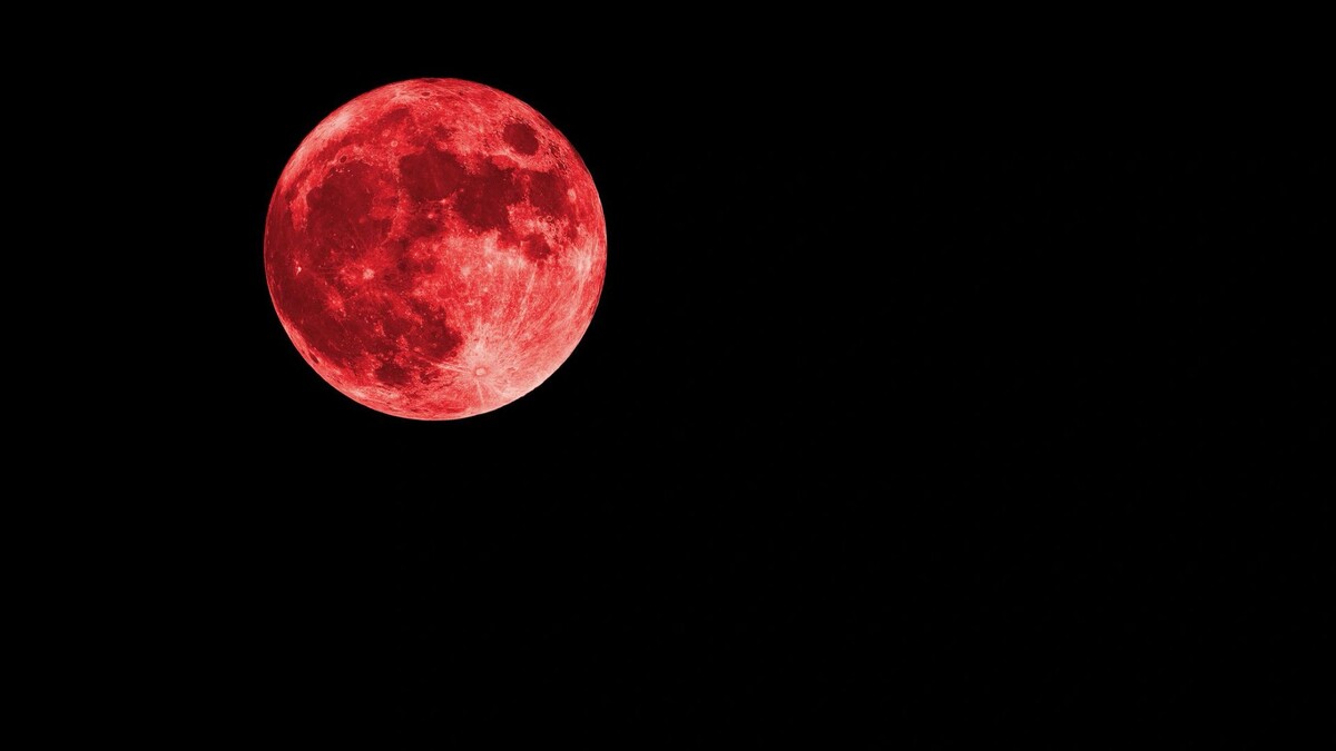    Фото: Savvapanf Photo / Shutterstock / Fotodom