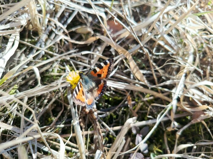    Фото: v-kurse.ru