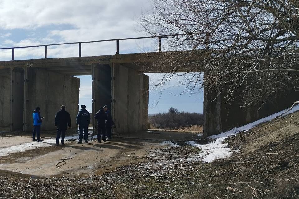    Фото: администрация Волгоградской области