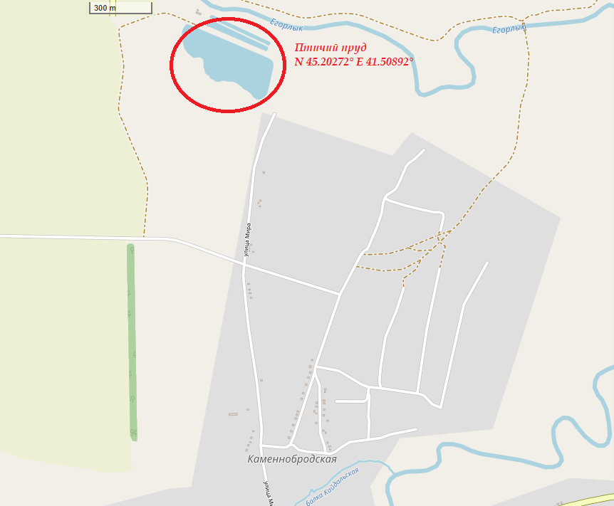 Красным обозначено основное место наблюдений