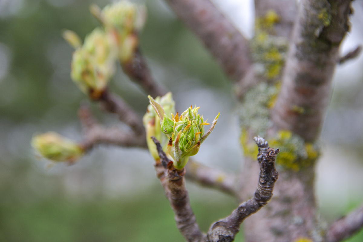 Фото автора, Одинокова Вероника 2026