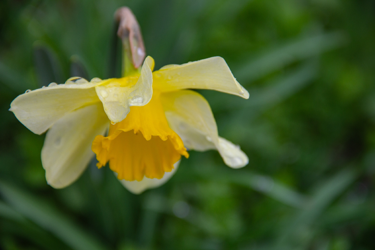 Фото автора, Одинокова Вероника 2026