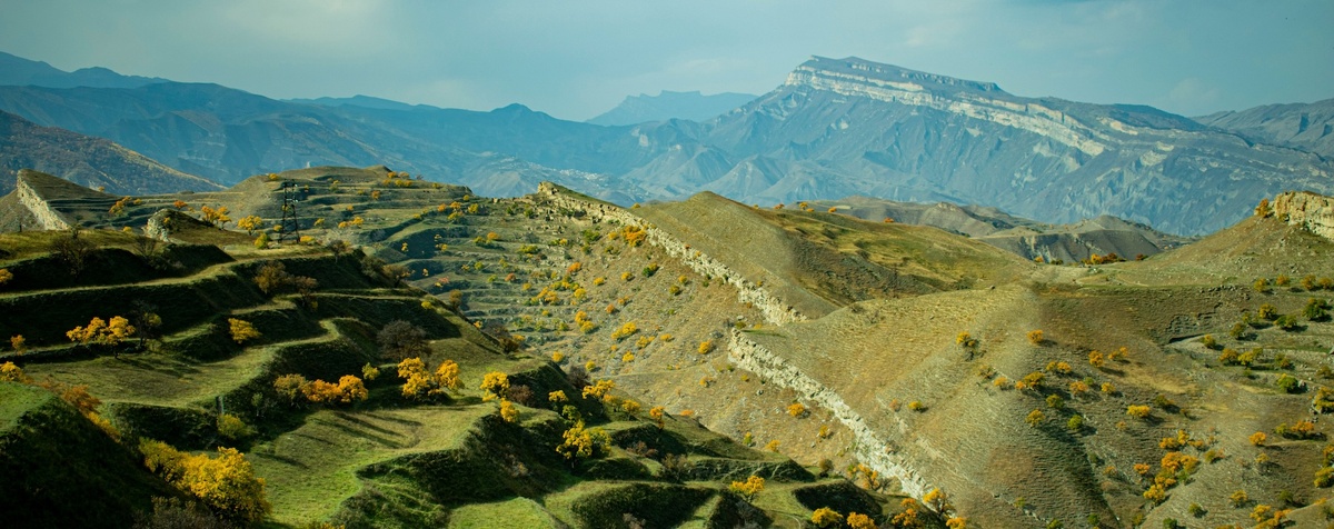 @yulia arnaut/Unsplash