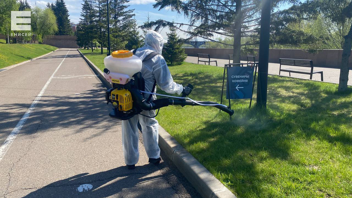     В Красноярске обработают от клещей 606 гектаров земли