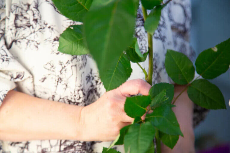    Фото: Общественная Служба Новостей Марта Леви