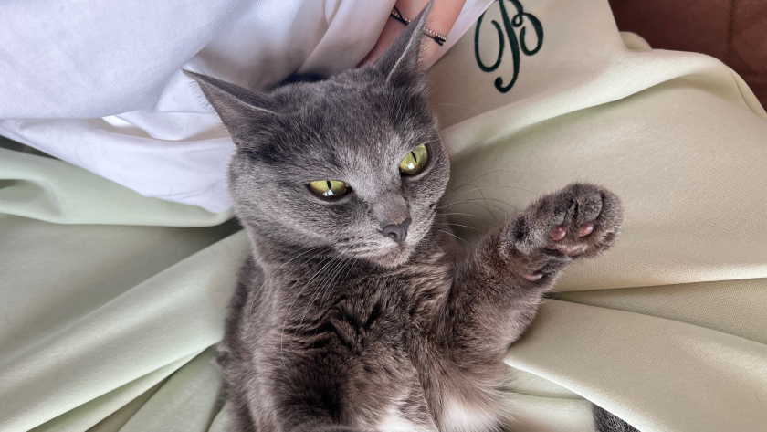    Фото progorod43.ru