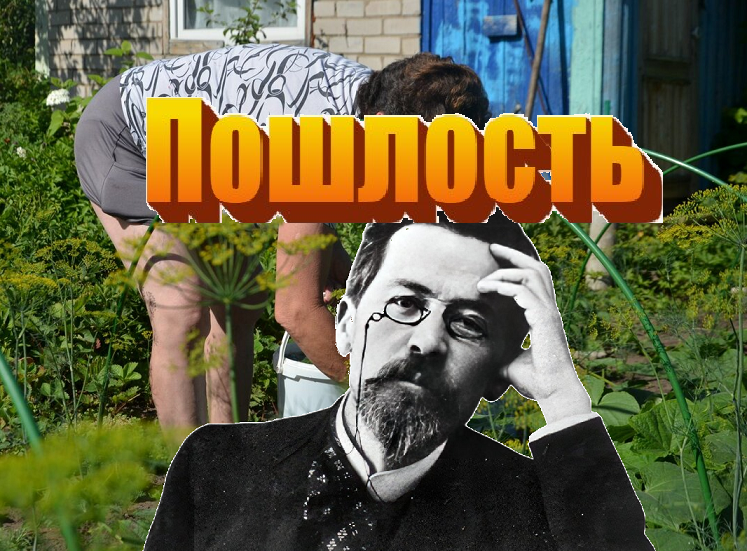 коллаж из фото из интернета
