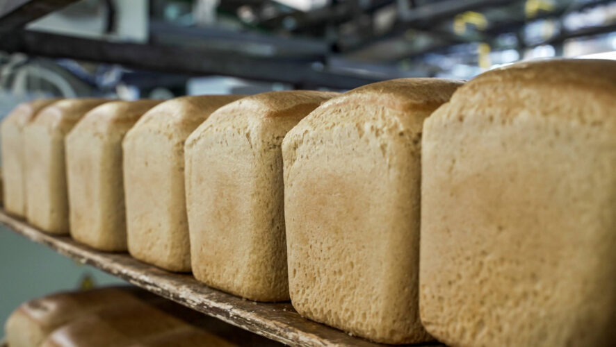    Фото: KazanFirst