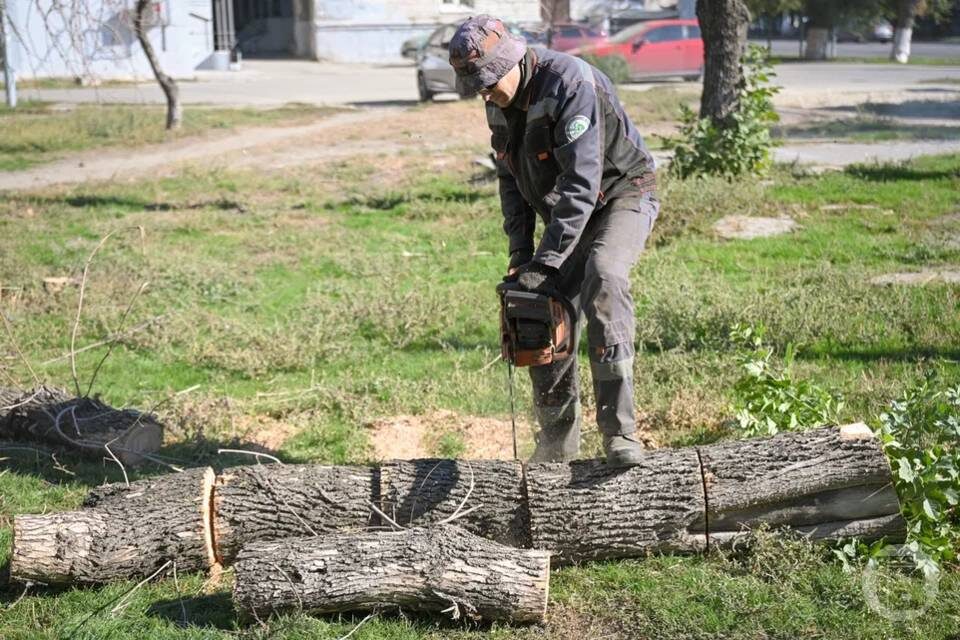    Фото: Павел Мирошкин / "Городские вести"
