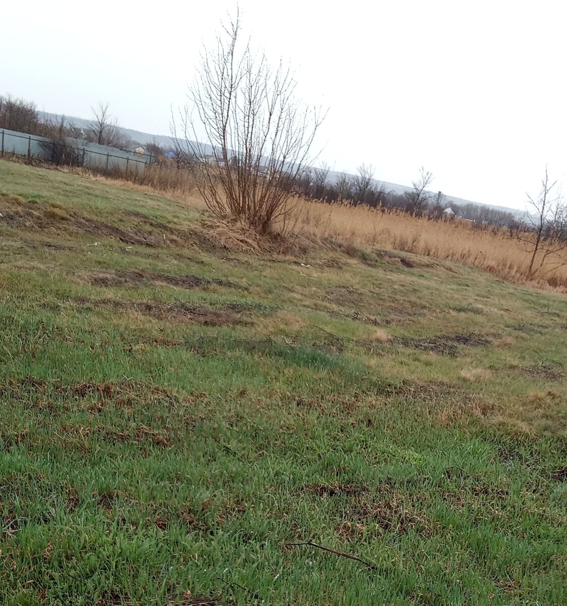 У нас на лугу 