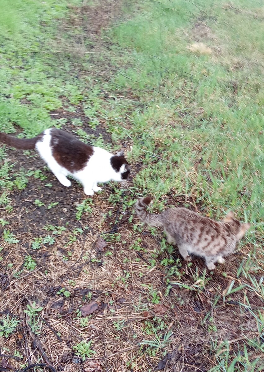 Личное фото 