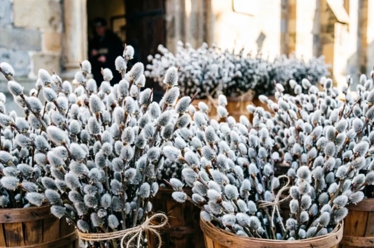    Ветви можно хранить дома весь год, категорически нельзя выбрасывать их в мусор.