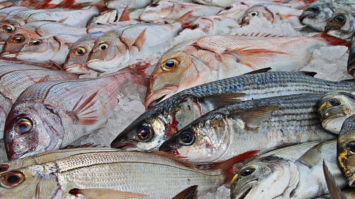    фото: photo-graphe / pixabay.com