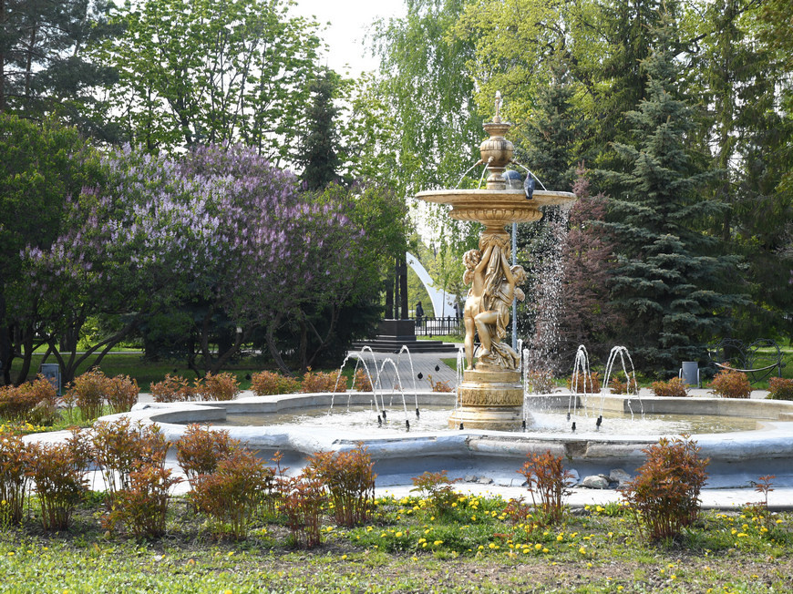 Фото: Денис Гордийко