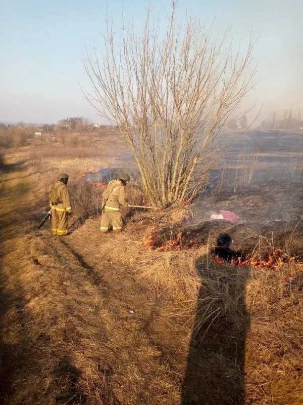     © фото - Противопожарная служба Курской области
