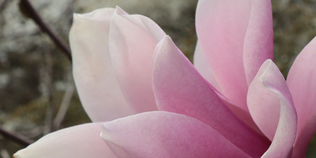 5 простых и приятных дел апреля для самого весеннего настроения